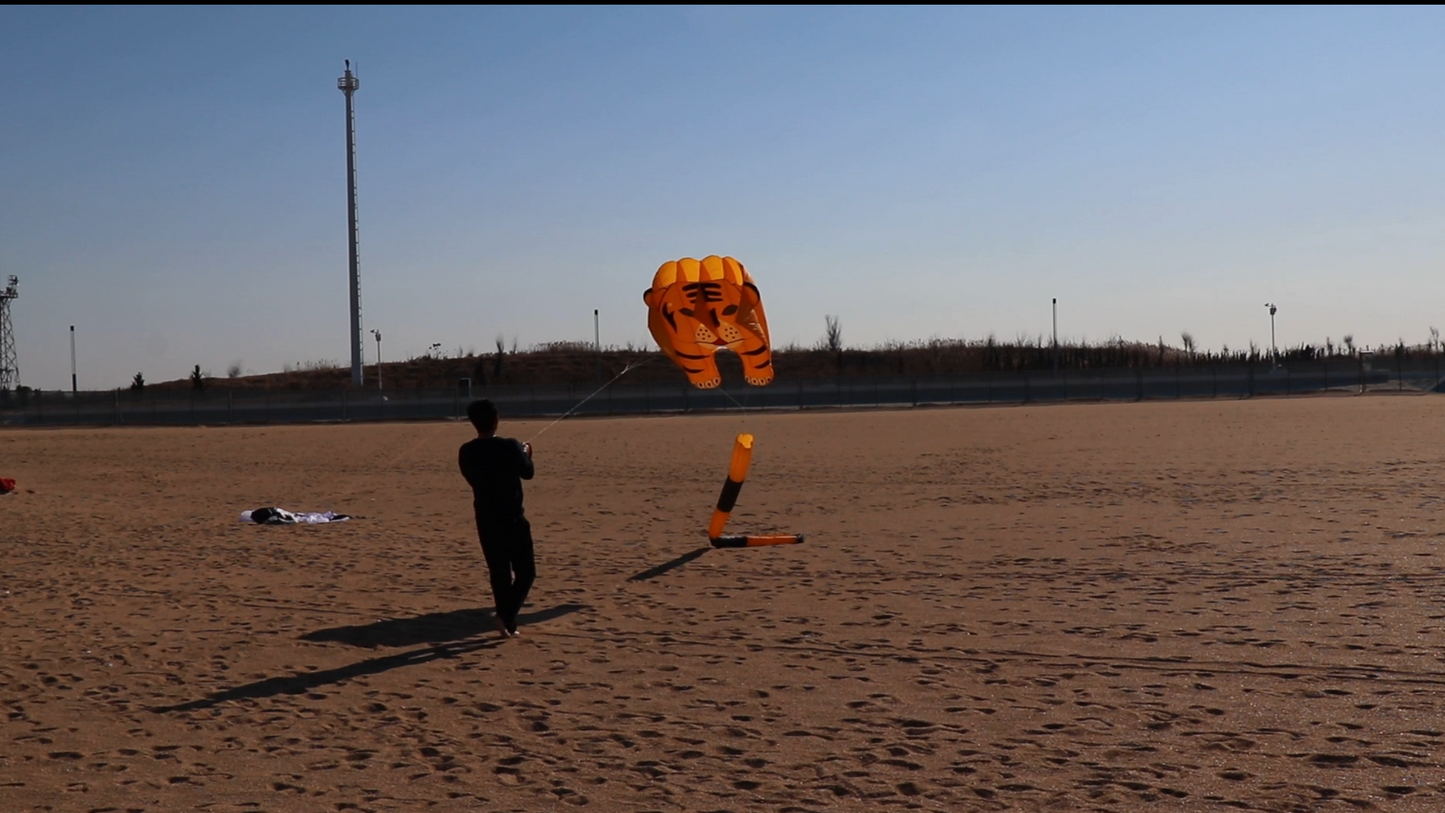 Tiger Kite 244×39 inch طائرة ورقية